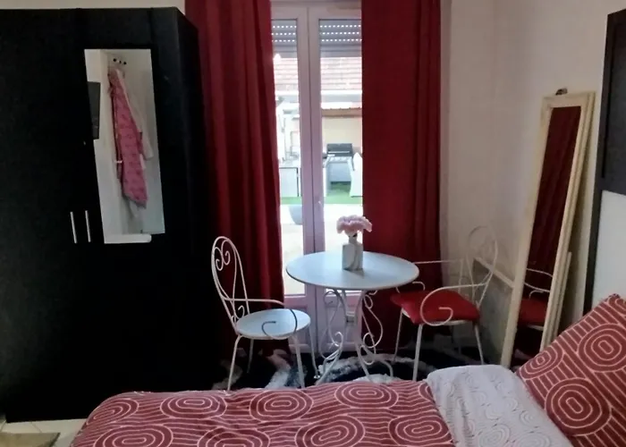 Rose Dammarie-les-Lys